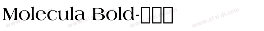 Molecula Bold字体转换